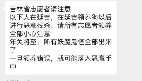 网友爆料道歉狗狗视频,温馨画面感动网友